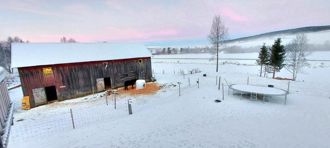 Apartament Fantgrenda Overnatting Os (Hedmark) Zewnętrze zdjęcie