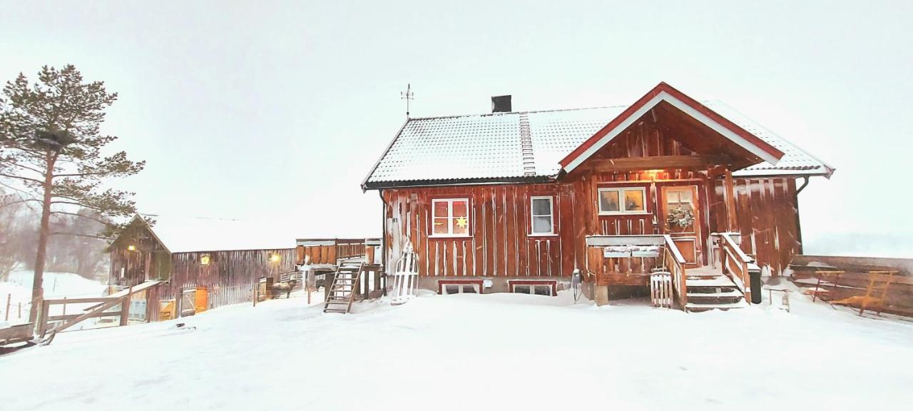 Apartament Fantgrenda Overnatting Os (Hedmark) Zewnętrze zdjęcie